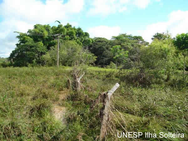 Ponto3, sabesp 31 de janeiro de 2008, dano causado pela onda de cheia no C&oacute;rrego do Coqueiro